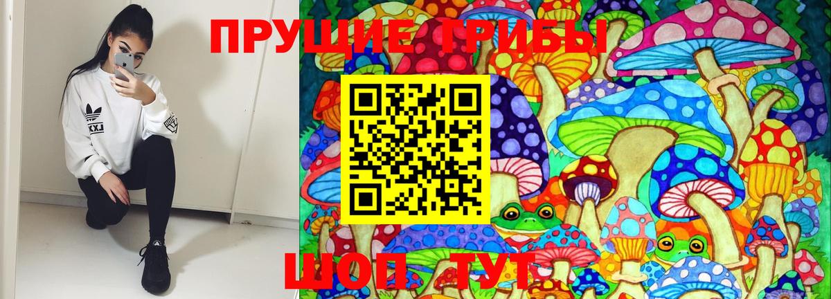 Псилоцибиновые грибы GOLDEN TEACHER Переславль-Залесский