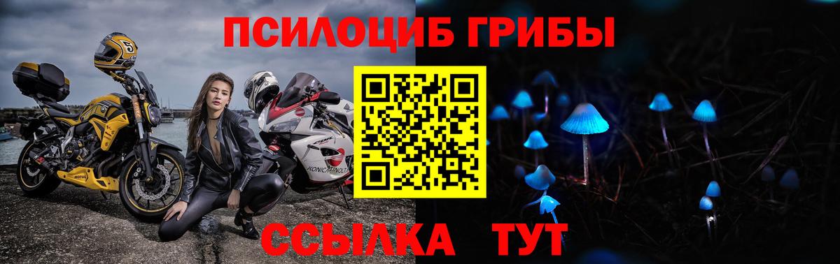 Псилоцибиновые грибы Psilocybe  Галлюциногенные грибы Psilocybe  Вход с VPN  Переславль-Залесский 